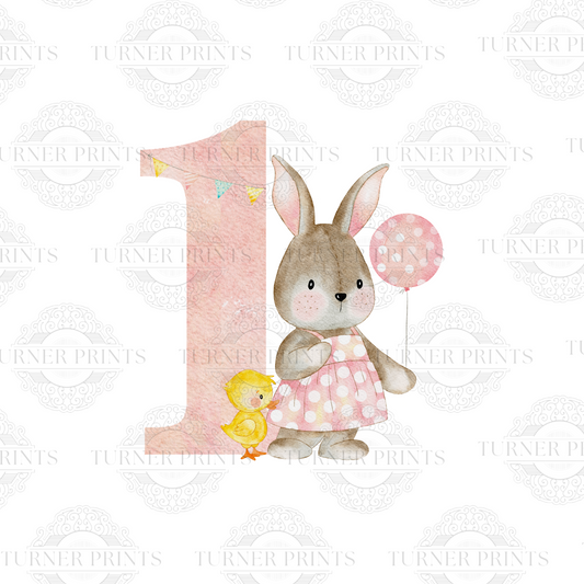 Bunny birthday numbers